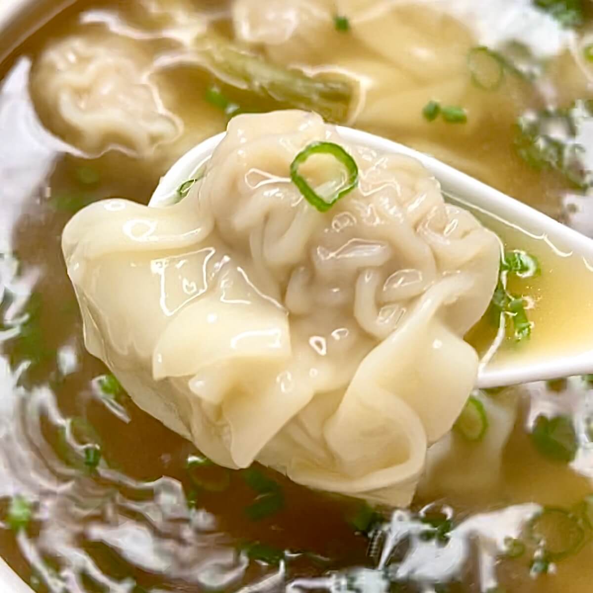 Won Ton Soup